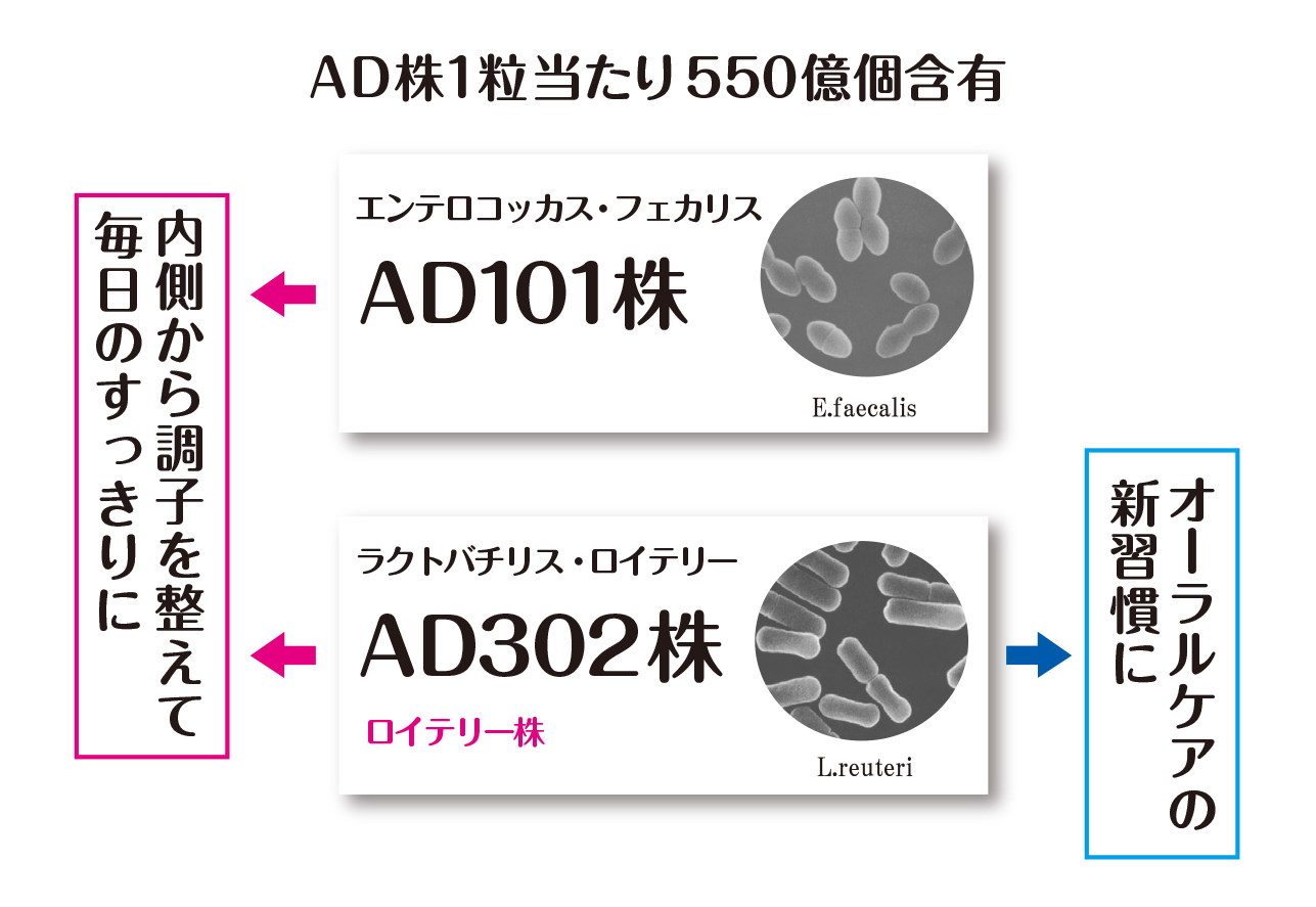 内側から調子を整えて、毎日のスッキリに。